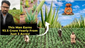 Aloe Vera Farming Success Story India